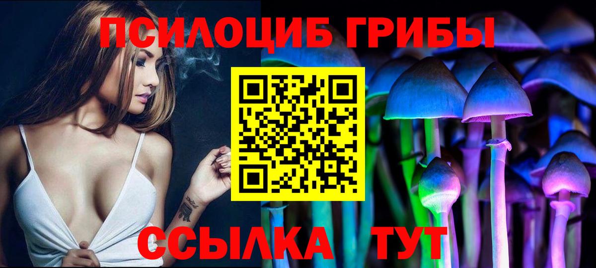 Выборг  Псилоцибиновые грибы Psilocybine cubensis  Вход с VPN 