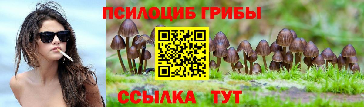 Псилоцибиновые грибы мухоморы Выборг